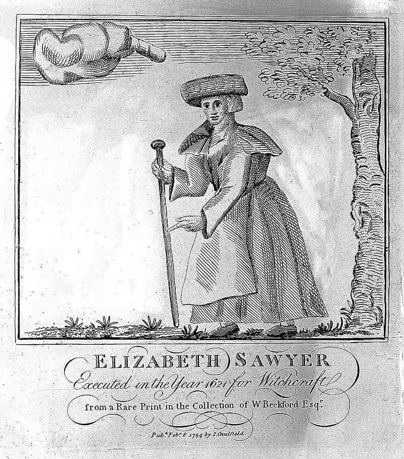 Sawyer 2