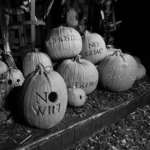 Phrased Pumpkins